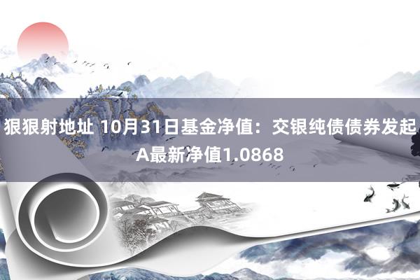 狠狠射地址 10月31日基金净值：交银纯债债券发起A最新净值1.0868