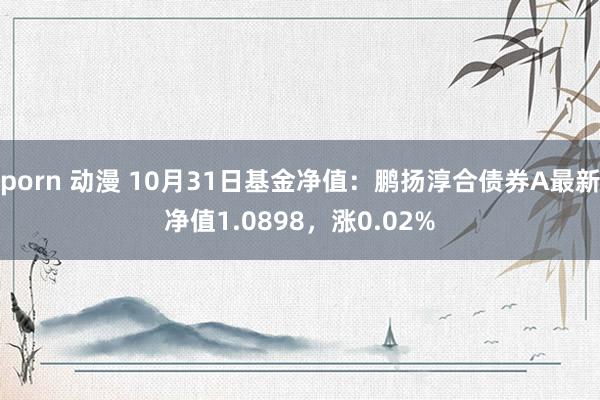 porn 动漫 10月31日基金净值：鹏扬淳合债券A最新净值1.0898，涨0.02%