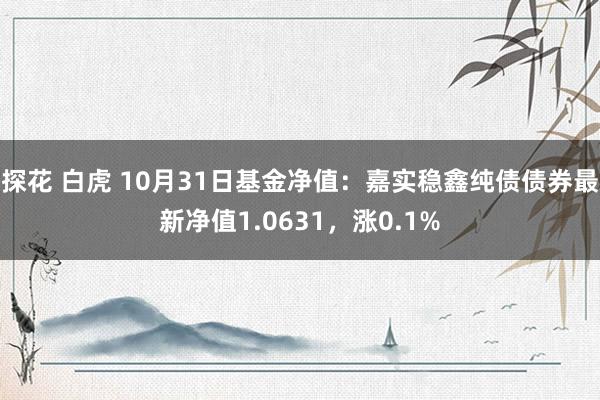 探花 白虎 10月31日基金净值：嘉实稳鑫纯债债券最新净值1.0631，涨0.1%