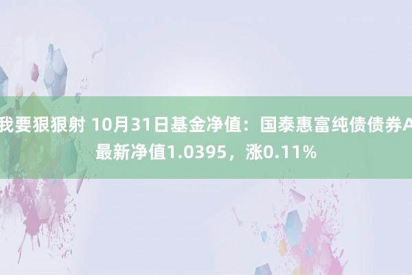 我要狠狠射 10月31日基金净值：国泰惠富纯债债券A最新净值1.0395，涨0.11%