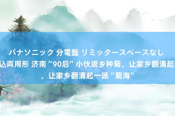 パナソニック 分電盤 リミッタースペースなし 露出・半埋込両用形 济南“90后”小伙返乡种菊，让家乡翻涌起一派“菊海”