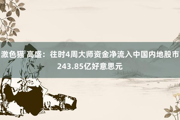 激色猫 高盛：往时4周大师资金净流入中国内地股市243.85亿好意思元