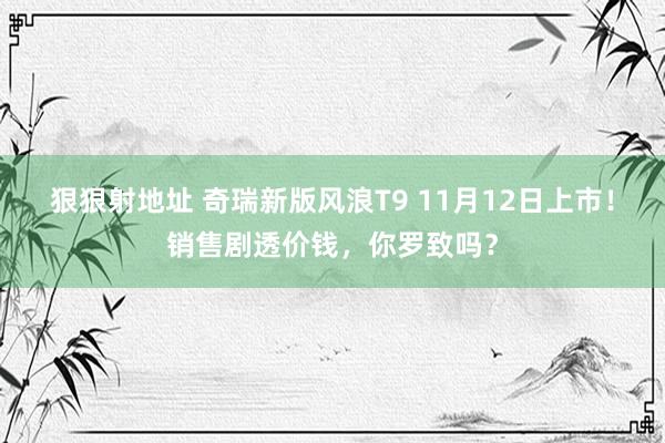 狠狠射地址 奇瑞新版风浪T9 11月12日上市！销售剧透价钱，你罗致吗？