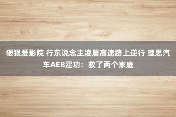 狠狠爱影院 行东说念主凌晨高速路上逆行 理思汽车AEB建功：救了两个家庭