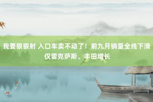 我要狠狠射 入口车卖不动了！前九月销量全线下滑 仅雷克萨斯、丰田增长