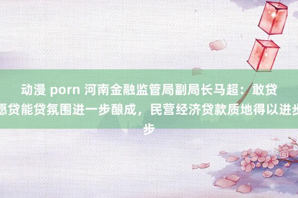 动漫 porn 河南金融监管局副局长马超：敢贷愿贷能贷氛围进一步酿成，民营经济贷款质地得以进步