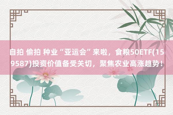 自拍 偷拍 种业“亚运会”来啦，食粮50ETF(159587)投资价值备受关切，聚焦农业高涨趋势！