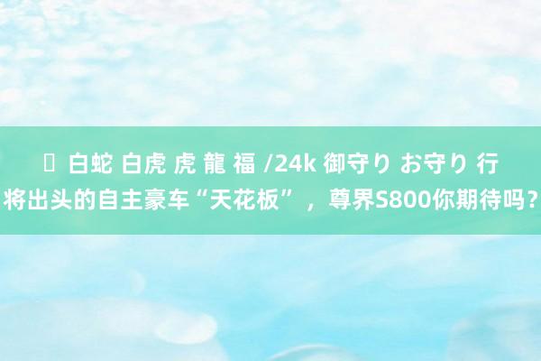 ✨白蛇 白虎 虎 龍 福 /24k 御守り お守り 行将出头的自主豪车“天花板” ，尊界S800你期待吗？