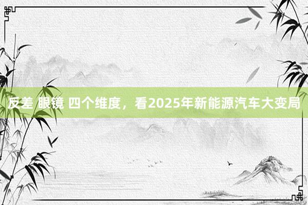 反差 眼镜 四个维度，看2025年新能源汽车大变局