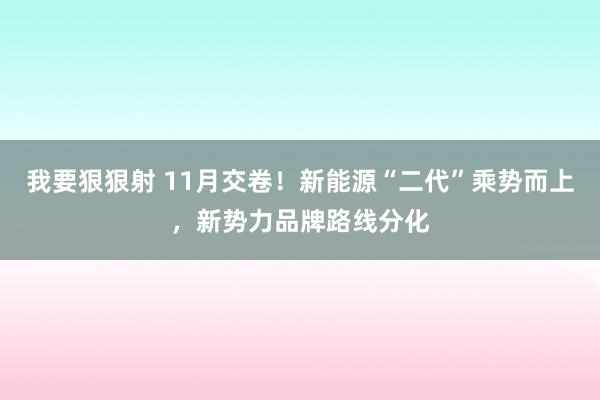 我要狠狠射 11月交卷！新能源“二代”乘势而上，新势力品牌路线分化