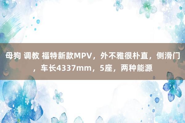 母狗 调教 福特新款MPV，外不雅很朴直，侧滑门，车长4337mm，5座，两种能源