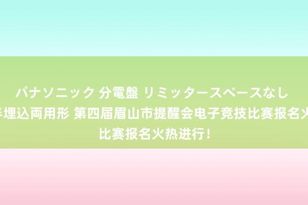 パナソニック 分電盤 リミッタースペースなし 露出・半埋込両用形 第四届眉山市提醒会电子竞技比赛报名火热进行！