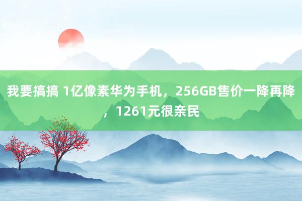 我要搞搞 1亿像素华为手机，256GB售价一降再降，1261元很亲民