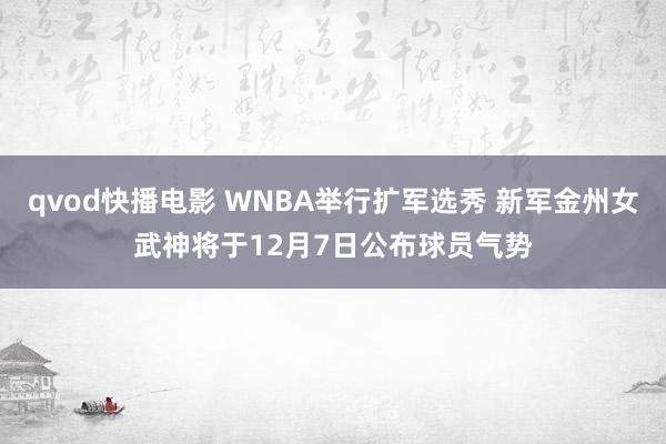 qvod快播电影 WNBA举行扩军选秀 新军金州女武神将于12月7日公布球员气势