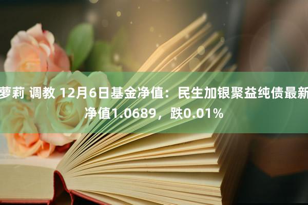 萝莉 调教 12月6日基金净值：民生加银聚益纯债最新净值1.0689，跌0.01%