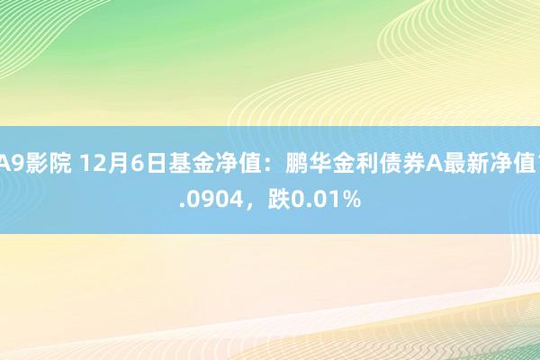 A9影院 12月6日基金净值：鹏华金利债券A最新净值1.0904，跌0.01%