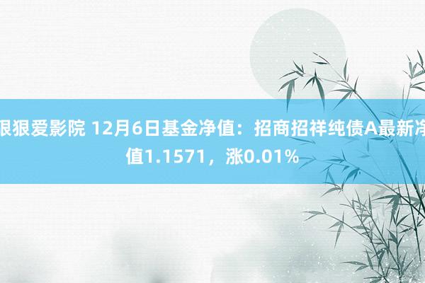 狠狠爱影院 12月6日基金净值：招商招祥纯债A最新净值1.1571，涨0.01%