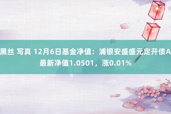 黑丝 写真 12月6日基金净值：浦银安盛盛元定开债A最新净值1.0501，涨0.01%