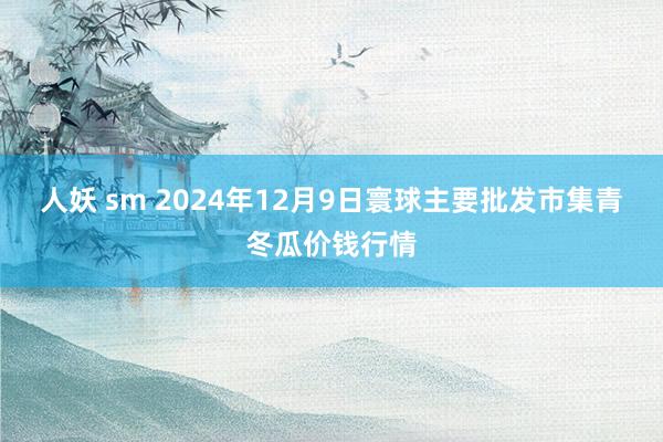 人妖 sm 2024年12月9日寰球主要批发市集青冬瓜价钱行情