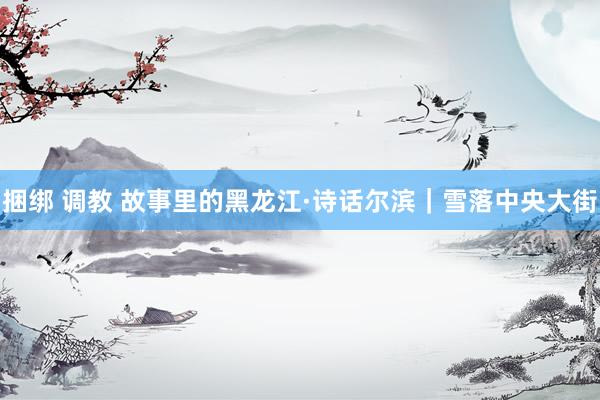 捆绑 调教 故事里的黑龙江·诗话尔滨｜雪落中央大街