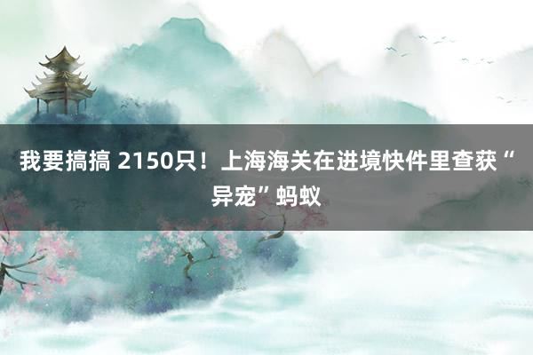 我要搞搞 2150只！上海海关在进境快件里查获“异宠”蚂蚁