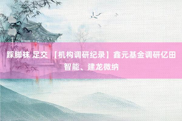 踩脚袜 足交 【机构调研纪录】鑫元基金调研亿田智能、建龙微纳