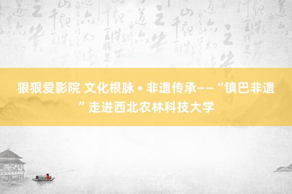 狠狠爱影院 文化根脉 • 非遗传承——“镇巴非遗”走进西北农林科技大学