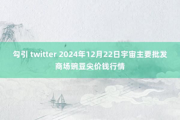 勾引 twitter 2024年12月22日宇宙主要批发商场豌豆尖价钱行情