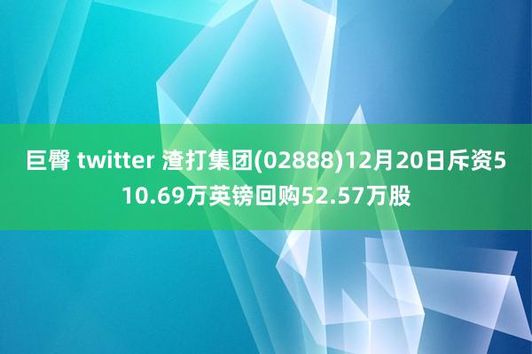 巨臀 twitter 渣打集团(02888)12月20日斥资510.69万英镑回购52.57万股