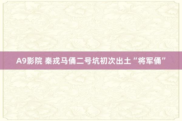 A9影院 秦戎马俑二号坑初次出土“将军俑”