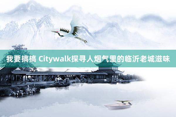 我要搞搞 Citywalk探寻人烟气里的临沂老城滋味