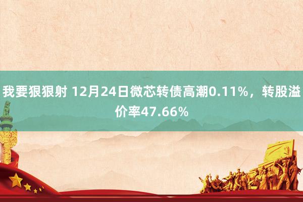 我要狠狠射 12月24日微芯转债高潮0.11%，转股溢价率47.66%