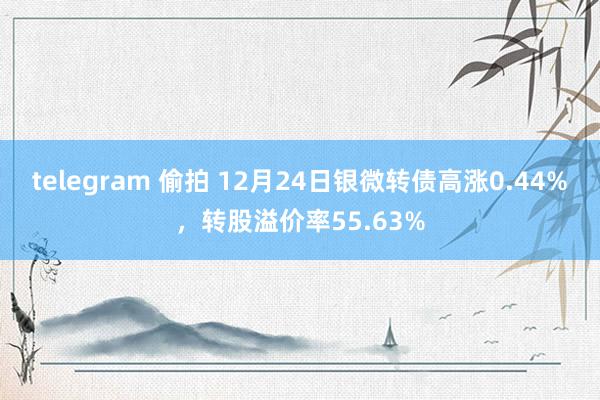 telegram 偷拍 12月24日银微转债高涨0.44%，转股溢价率55.63%