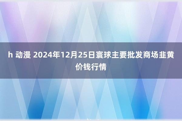 h 动漫 2024年12月25日寰球主要批发商场韭黄价钱行情