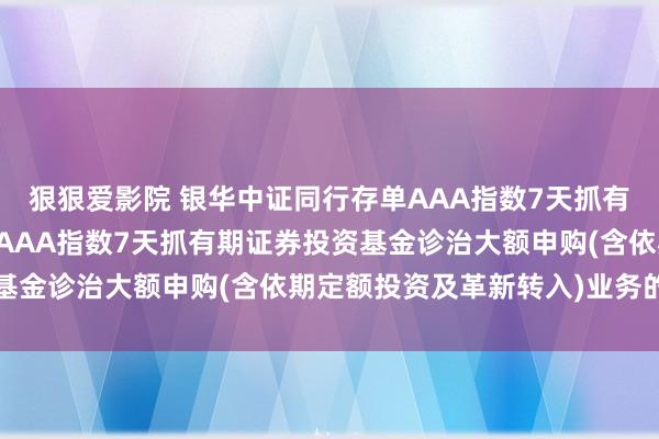 狠狠爱影院 银华中证同行存单AAA指数7天抓有期: 银华中证同行存单AAA指数7天抓有期证券投资基金诊治大额申购(含依期定额投资及革新转入)业务的公告