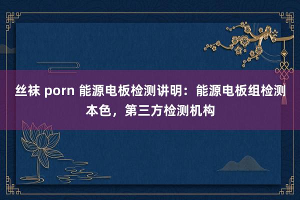 丝袜 porn 能源电板检测讲明：能源电板组检测本色，第三方检测机构