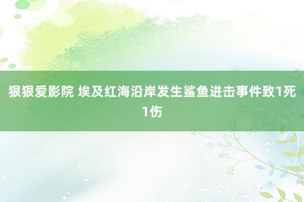 狠狠爱影院 埃及红海沿岸发生鲨鱼进击事件致1死1伤