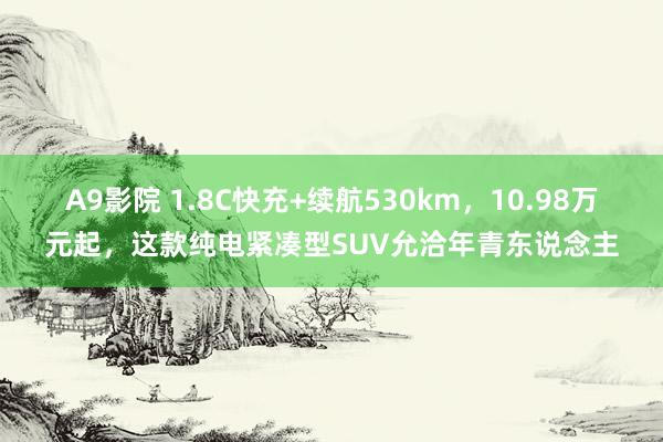 A9影院 1.8C快充+续航530km，10.98万元起，这款纯电紧凑型SUV允洽年青东说念主