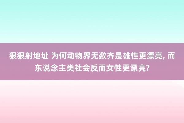 狠狠射地址 为何动物界无数齐是雄性更漂亮， 而东说念主类社会反而女性更漂亮?