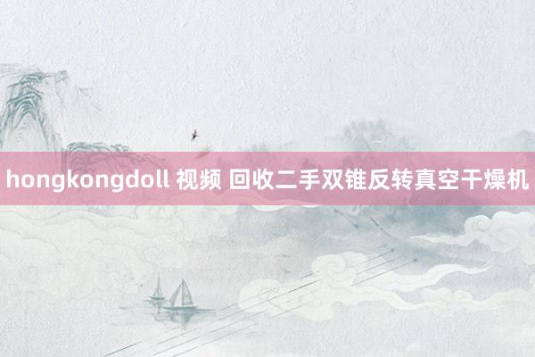 hongkongdoll 视频 回收二手双锥反转真空干燥机