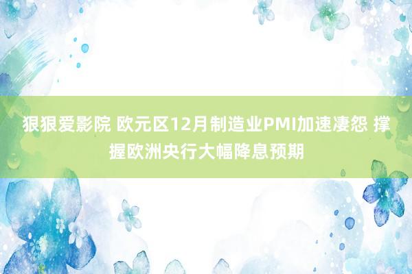 狠狠爱影院 欧元区12月制造业PMI加速凄怨 撑握欧洲央行大幅降息预期