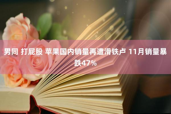 男同 打屁股 苹果国内销量再遭滑铁卢 11月销量暴跌47%