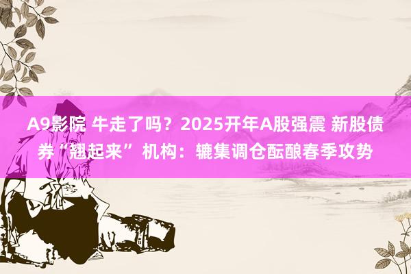 A9影院 牛走了吗？2025开年A股强震 新股债券“翘起来” 机构：辘集调仓酝酿春季攻势