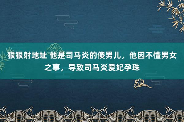 狠狠射地址 他是司马炎的傻男儿，他因不懂男女之事，导致司马炎爱妃孕珠