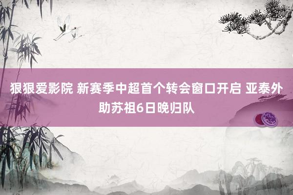 狠狠爱影院 新赛季中超首个转会窗口开启 亚泰外助苏祖6日晚归队