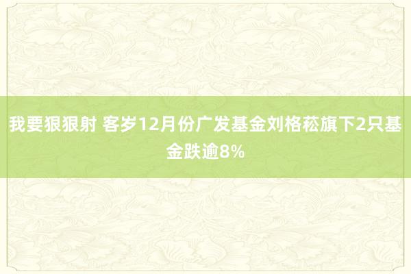 我要狠狠射 客岁12月份广发基金刘格菘旗下2只基金跌逾8%