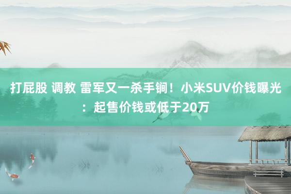 打屁股 调教 雷军又一杀手锏！小米SUV价钱曝光：起售价钱或低于20万