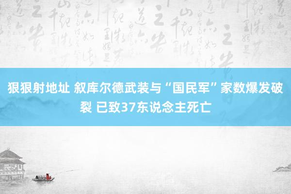 狠狠射地址 叙库尔德武装与“国民军”家数爆发破裂 已致37东说念主死亡