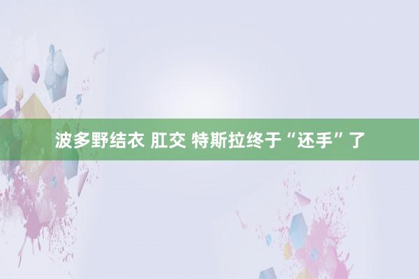 波多野结衣 肛交 特斯拉终于“还手”了