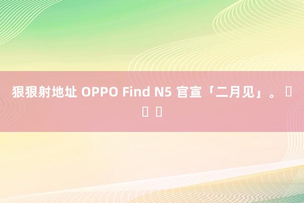 狠狠射地址 OPPO Find N5 官宣「二月见」。 ​​​